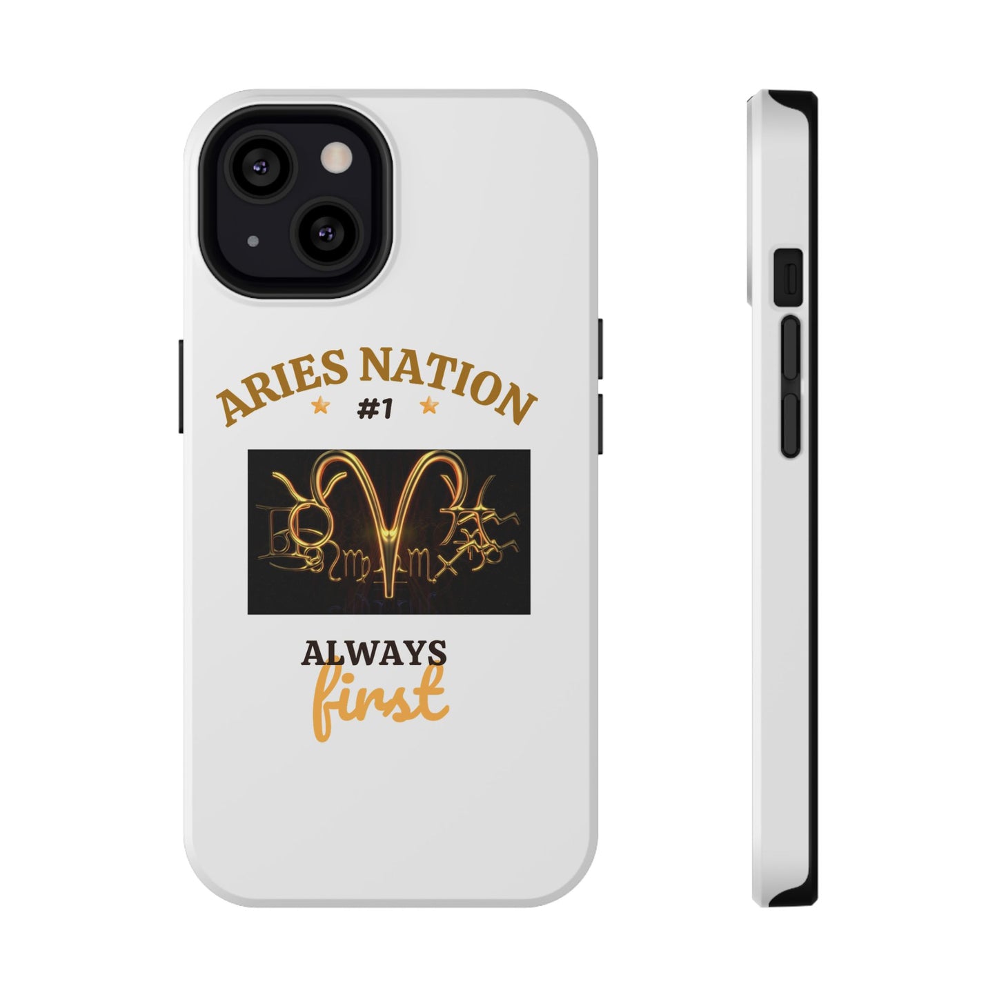 Impact-Resistant Cases_Aries Nation