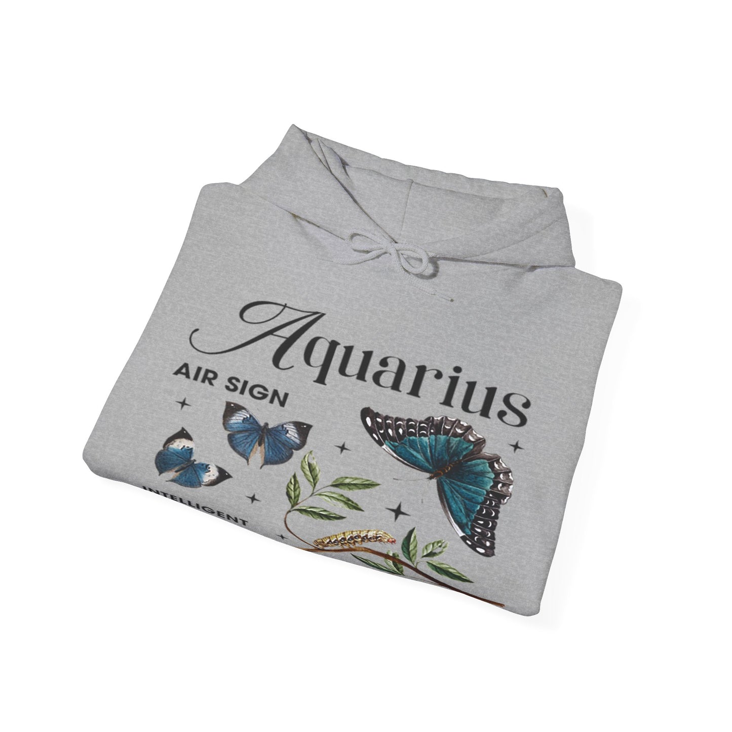 Aquarius Unisex Hooded Sweatshirt_Gildan 18500