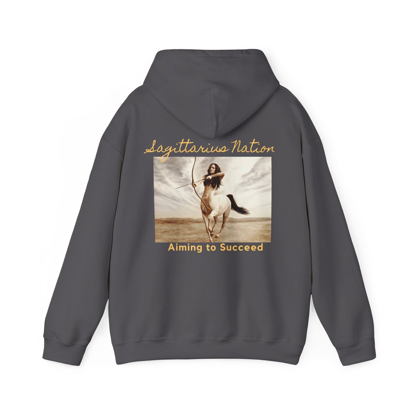 Sagittarius Hoodie