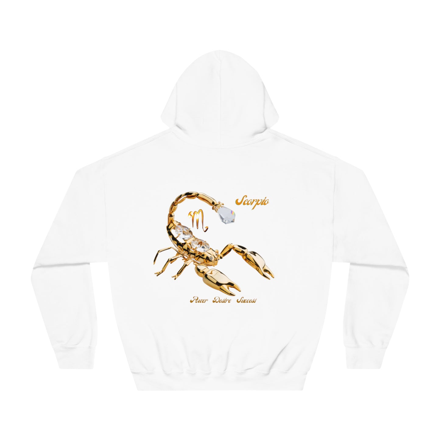 Scorpio Power Desire Success Unisex Hoodie