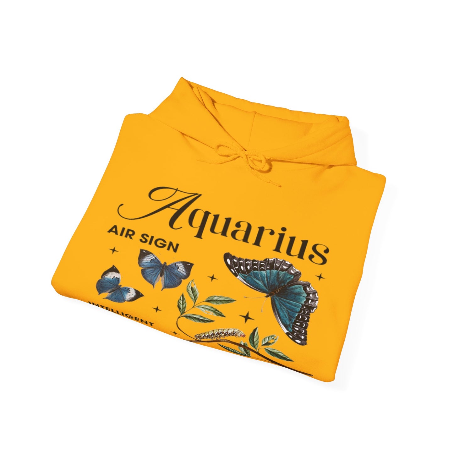 Aquarius Unisex Hooded Sweatshirt_Gildan 18500