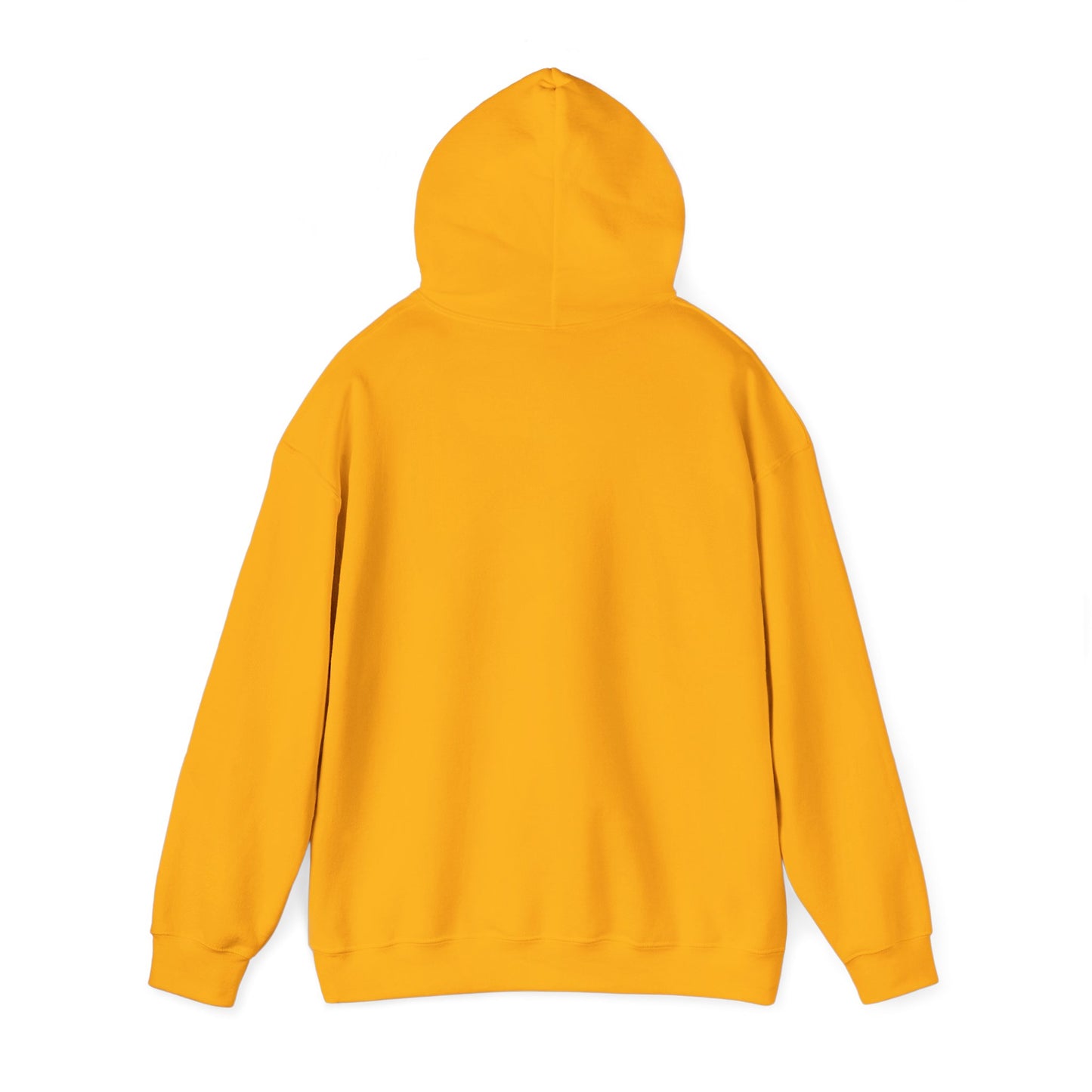 Sagittarius Zodiac Unisex Hoodie Sweatshirt