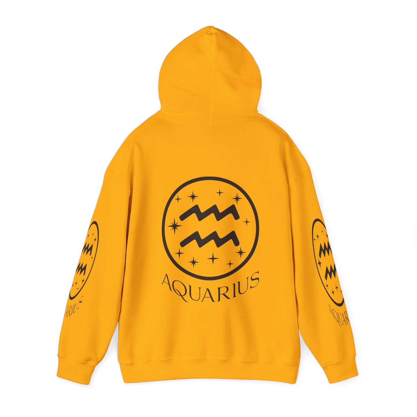 Aquarius Unisex Hooded Sweatshirt_Gildan 18500