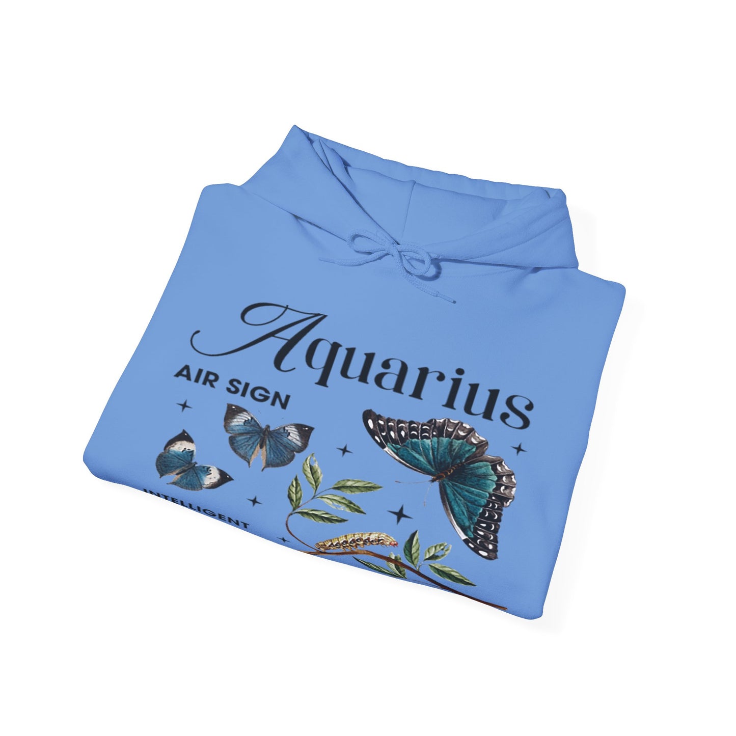 Aquarius Unisex Hooded Sweatshirt_Gildan 18500