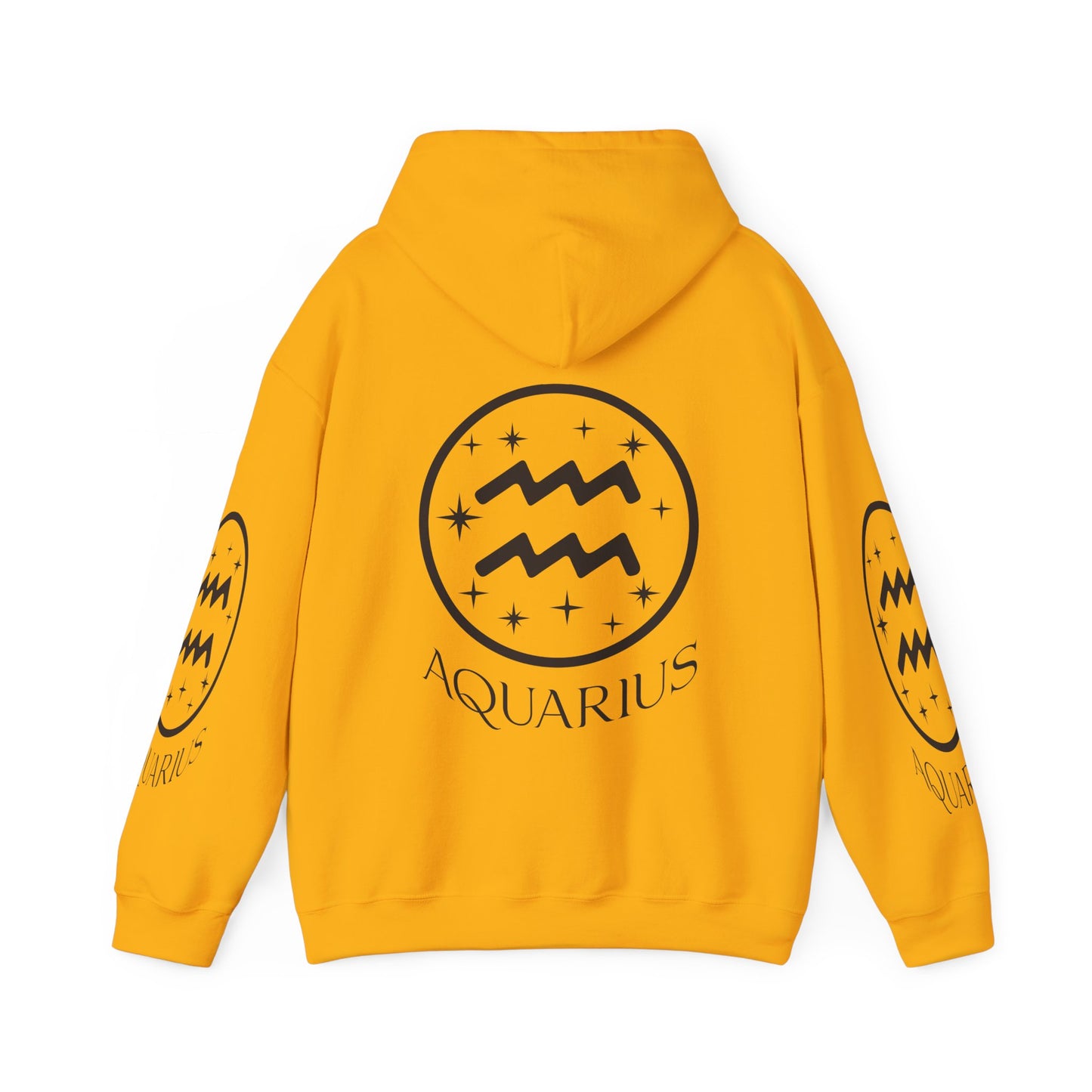 Aquarius Unisex Hooded Sweatshirt_Gildan 18500