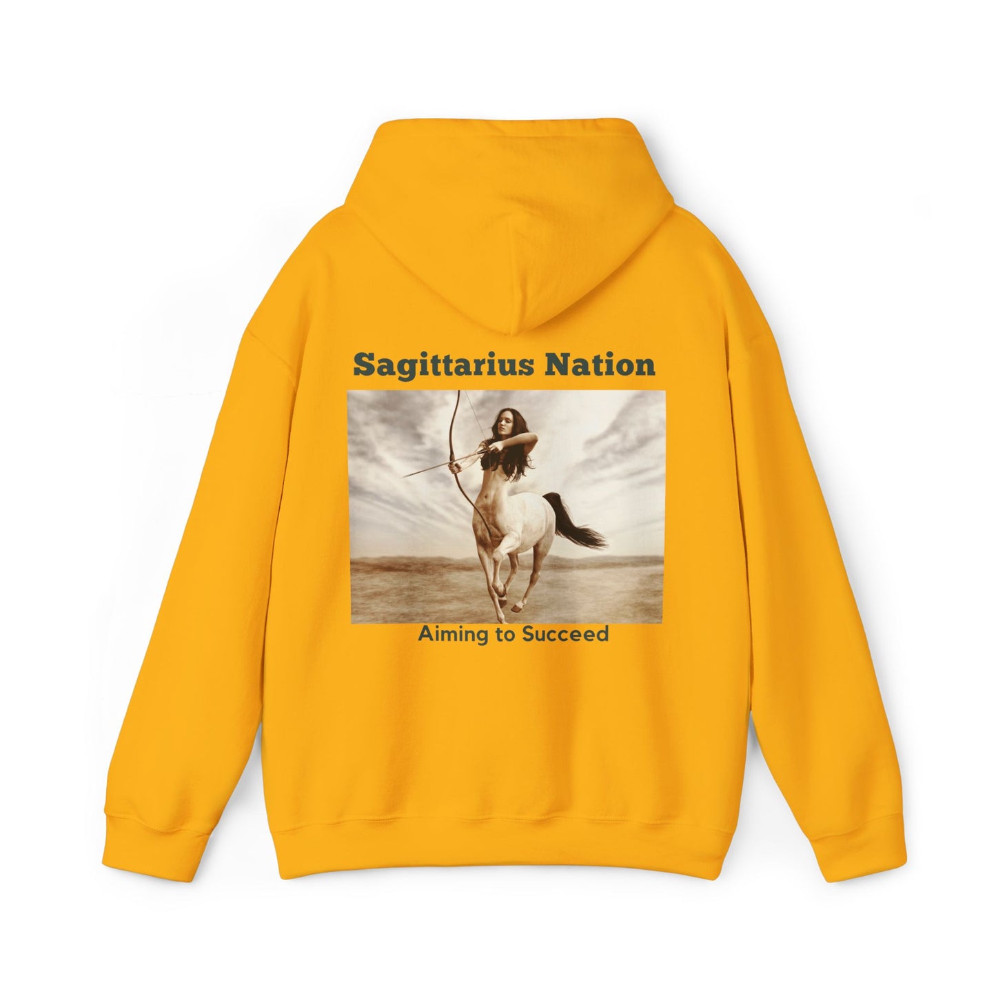 Sagittarius/Bold Colors Hoodie
