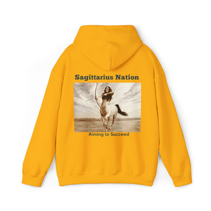 Sagittarius/Bold Colors Hoodie