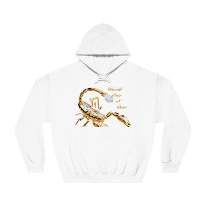 Scorpio Power Desire Success Unisex Hoodie