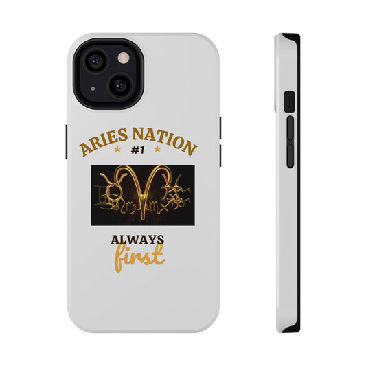 Impact-Resistant Cases_Aries Nation