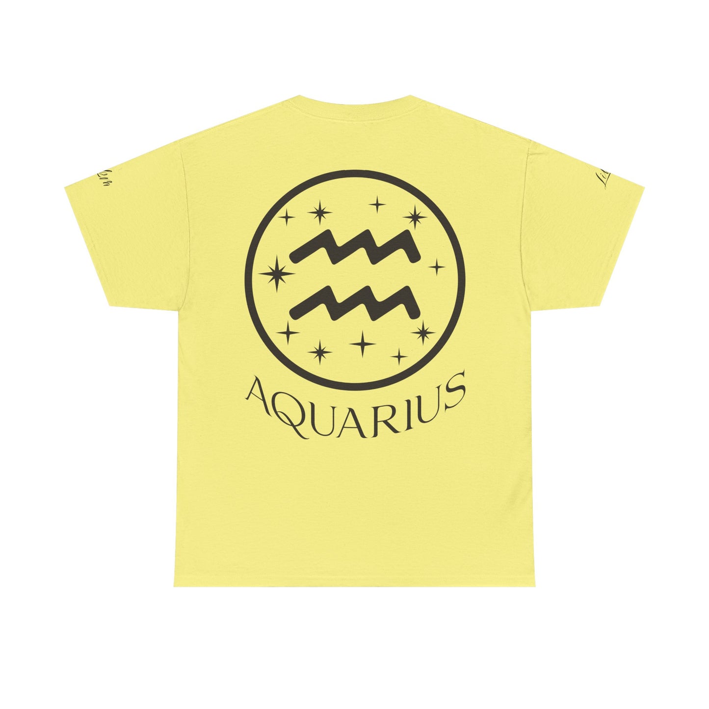 Unisex Aquarius Tee – Gildan 5000 |  Eco-Friendly