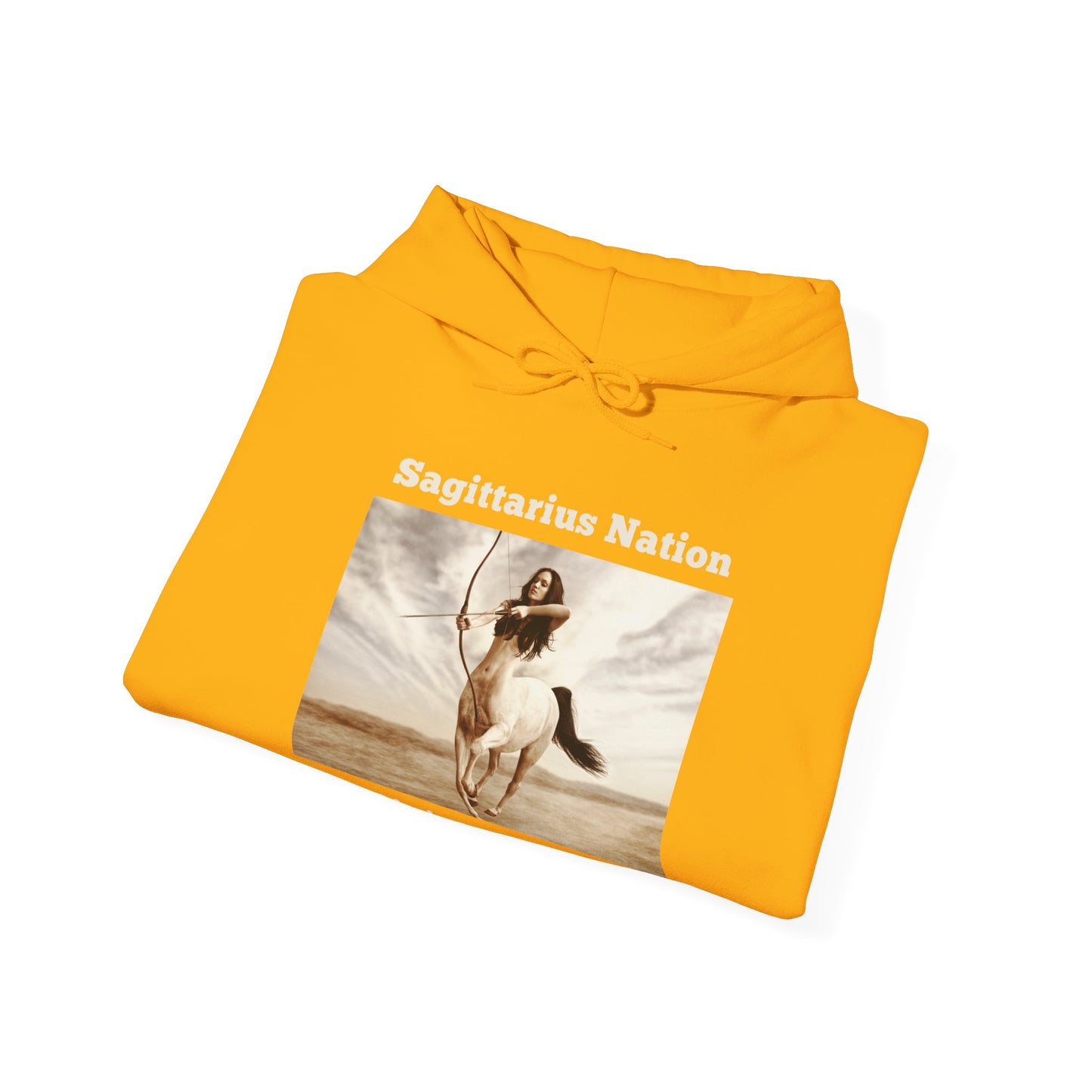 Sagittarius Zodiac Unisex Heavy Blend™ Hoodie | Gildan 18500