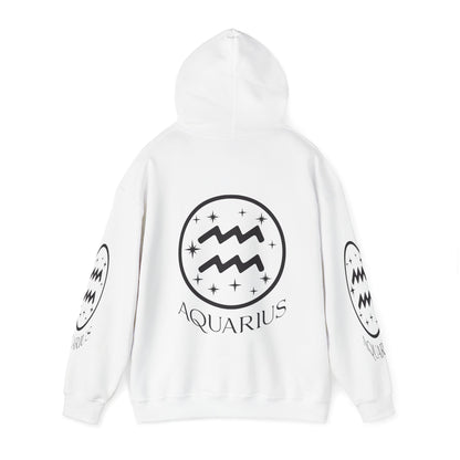 Aquarius Unisex Hooded Sweatshirt_Gildan 18500