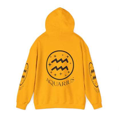 Aquarius Unisex Hooded Sweatshirt_Gildan 18500