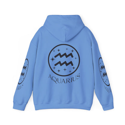 Aquarius Unisex Hooded Sweatshirt_Gildan 18500